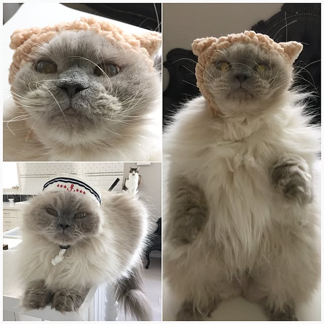 yuchiさんの実例写真