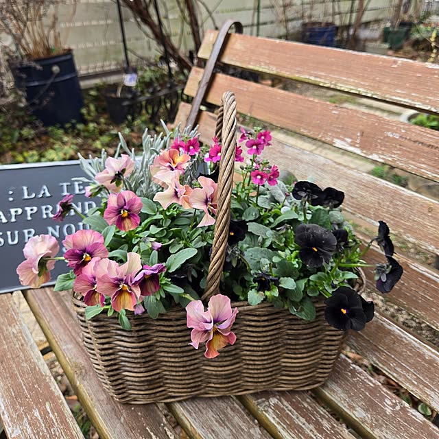 min_nimさんの実例写真