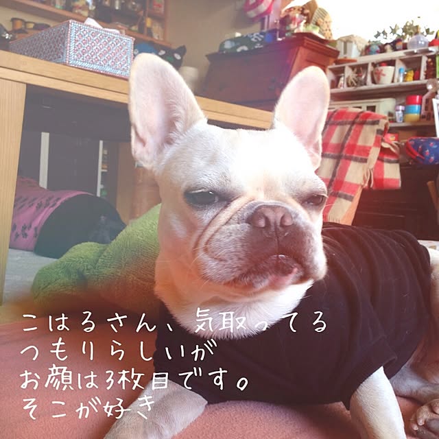 38coreさんの実例写真