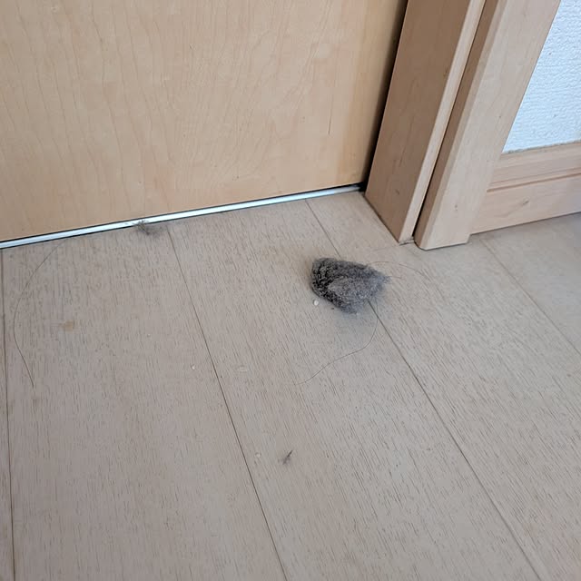 KOHAKUさんの部屋