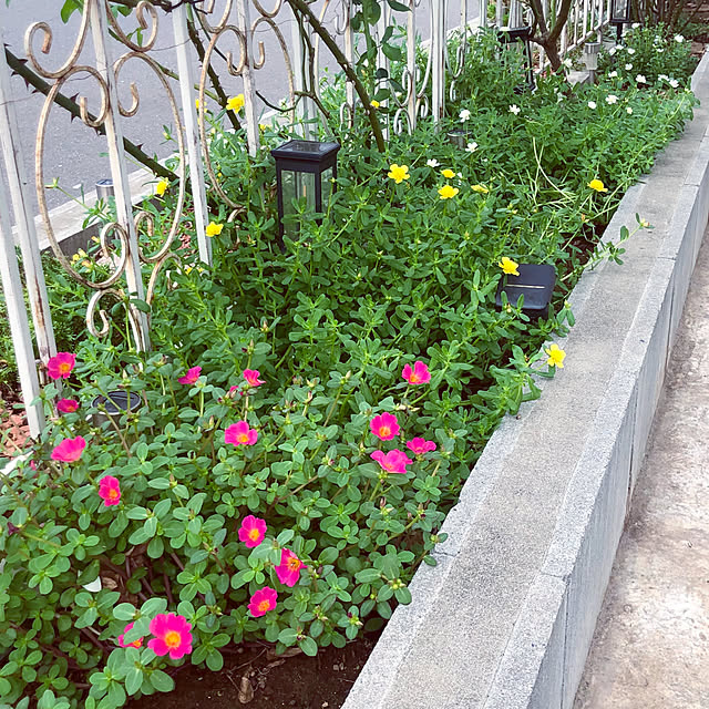 tomoさんの部屋