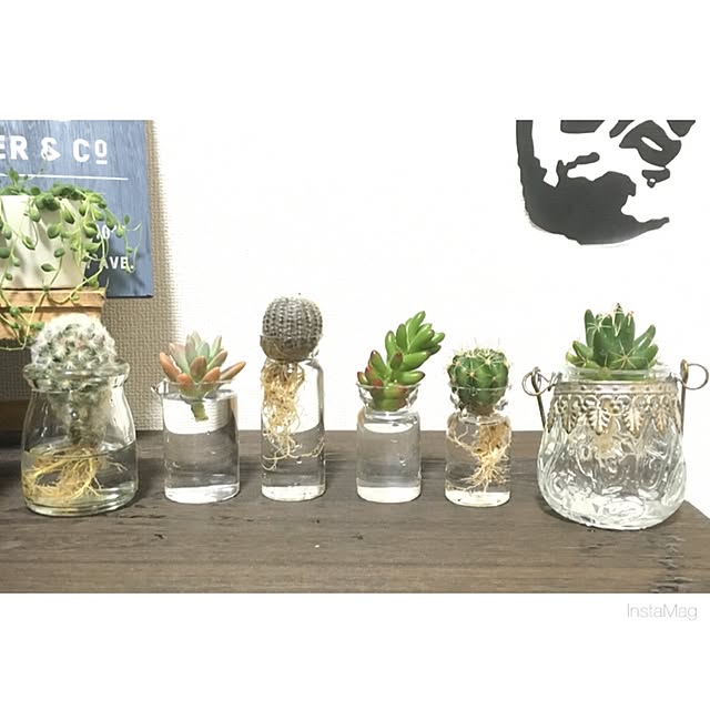 natsu.remonさんの実例写真