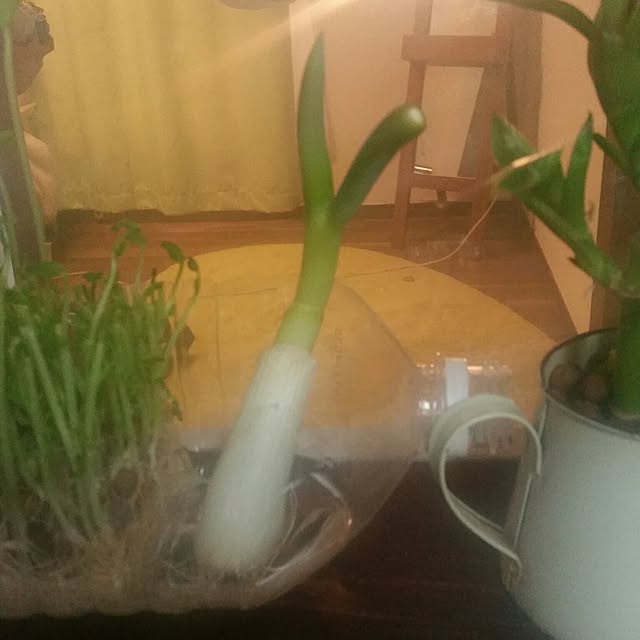 sukima1231さんの実例写真