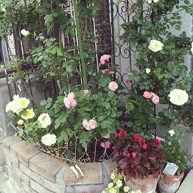 greenroseさんの実例写真