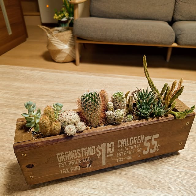 coconathuさんの部屋