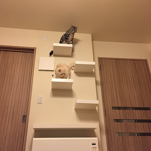 y.k.0123さんの実例写真