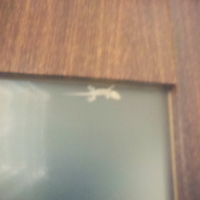 mimi828さんの実例写真