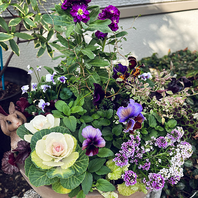 yukarin-gardenさんの部屋
