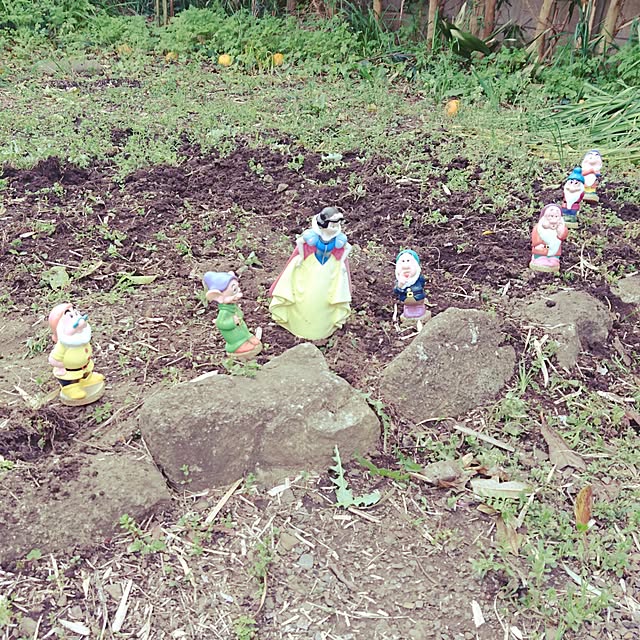 sasukeさんの実例写真
