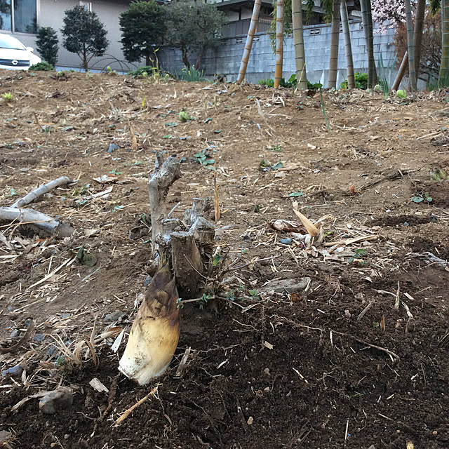 houenさんの実例写真