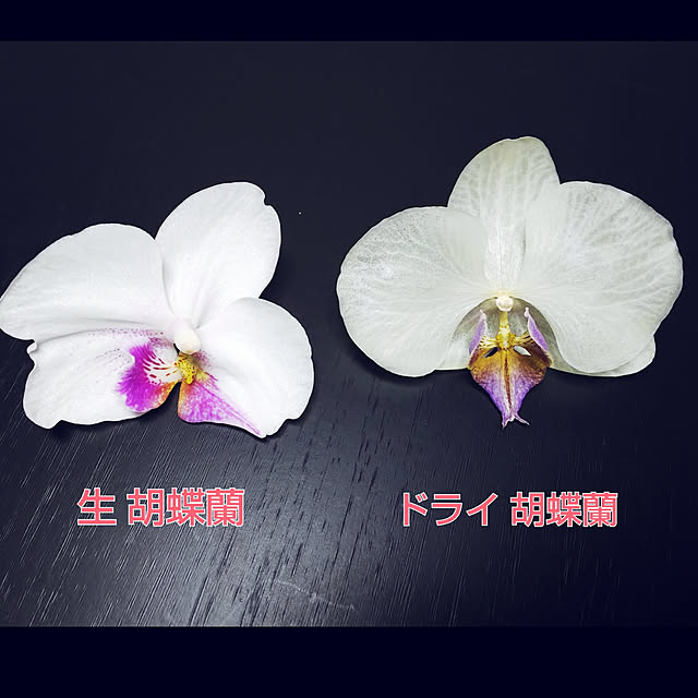 akiwaka-roomさんの実例写真