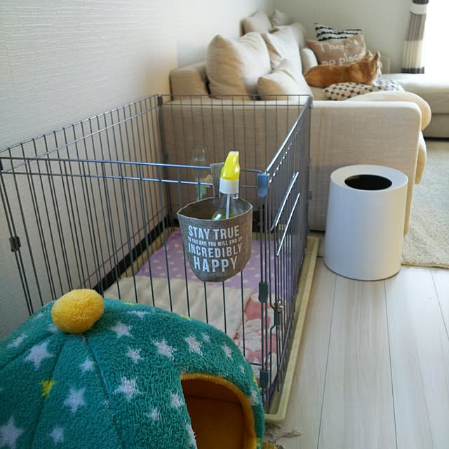 kojikojiさんの実例写真