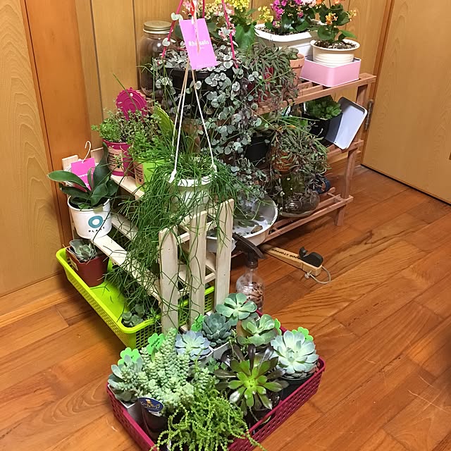CHIROさんの実例写真