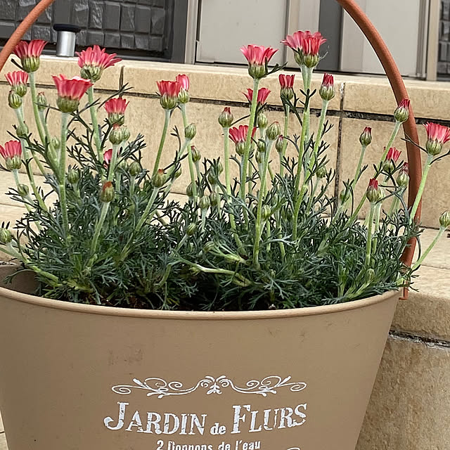 mokumokuさんの実例写真