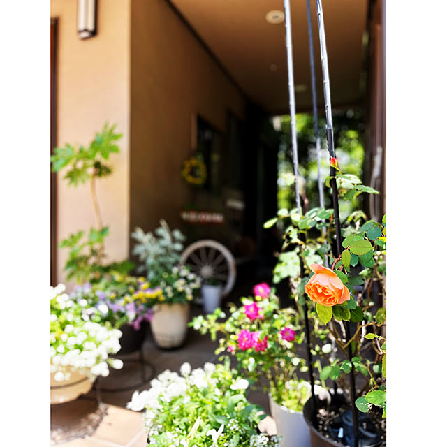 NAOさんの部屋