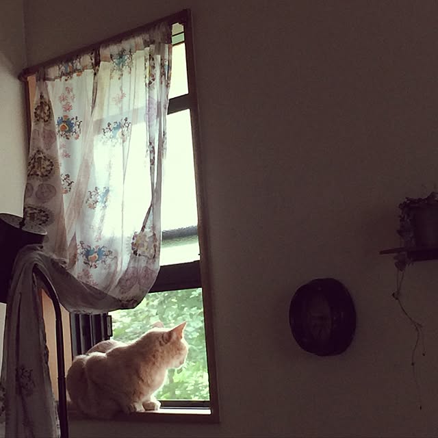 mikan161さんの実例写真