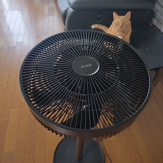 NOAHさんの部屋