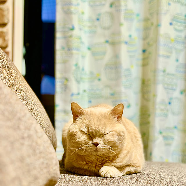 naokoさんの部屋