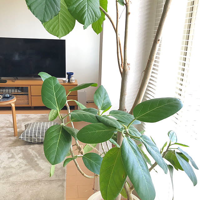 eriさんの部屋