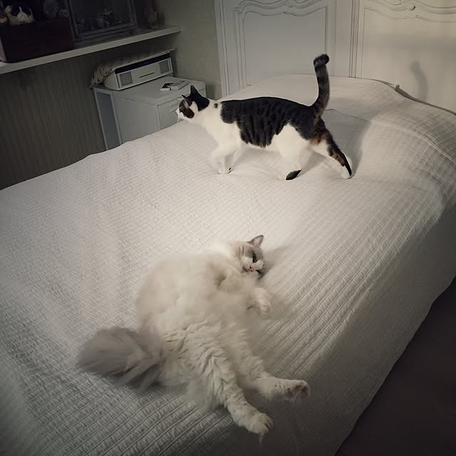yuchiさんの実例写真