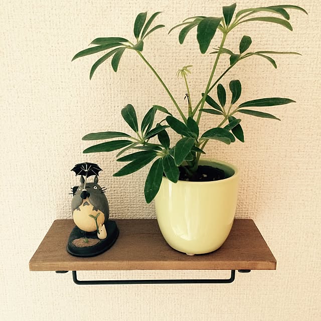 akoooさんの実例写真