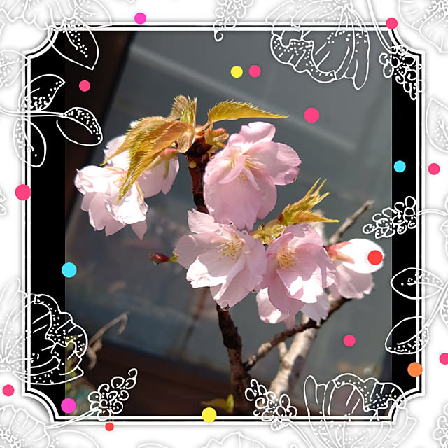 yumirinさんの実例写真