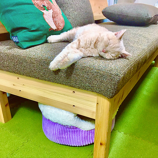 naokoさんの実例写真