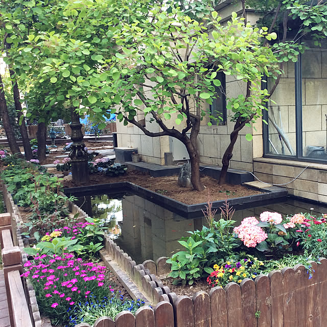 fannylf1103さんの実例写真