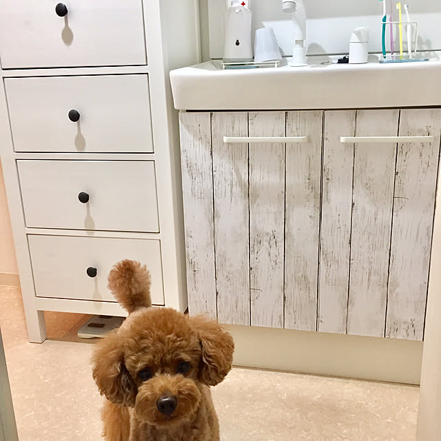 Naomiさんの実例写真