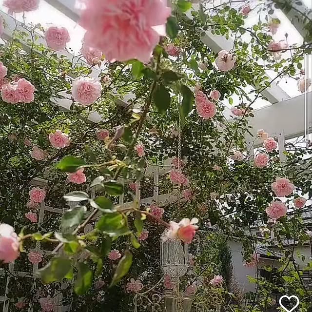 kiyosukeさんの部屋