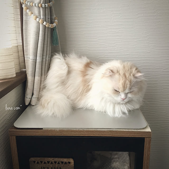 luna.comさんの実例写真