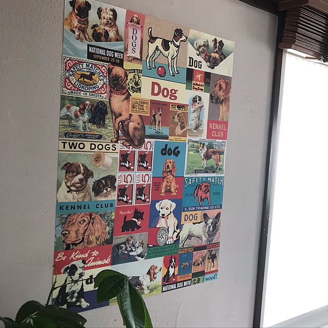 rinaさんの実例写真