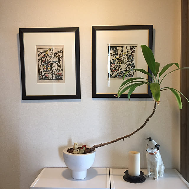kamelittoさんの実例写真