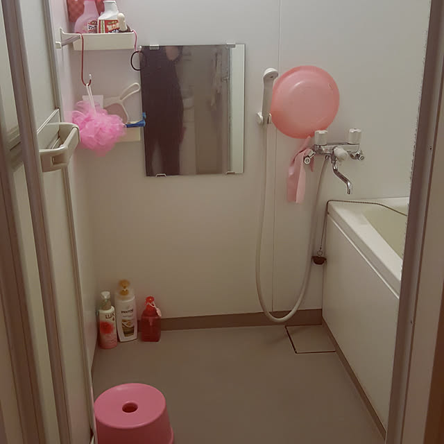 rviさんの実例写真