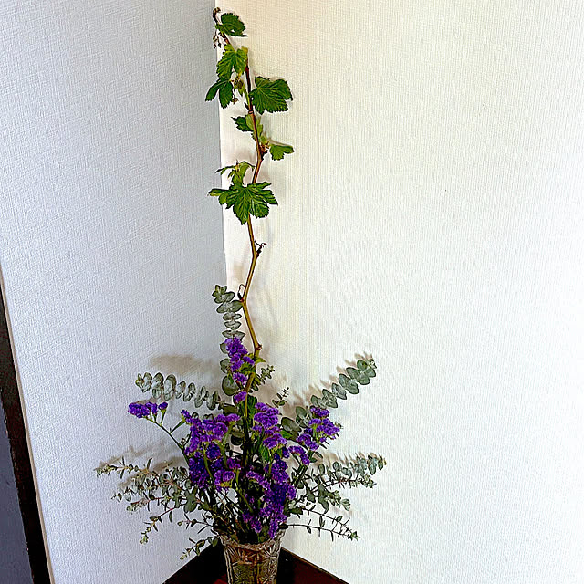 syutmmさんの部屋