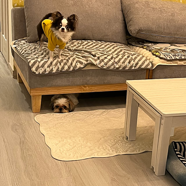 tomotomoさんの部屋