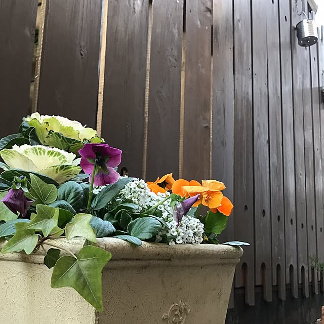 kokko3さんの実例写真