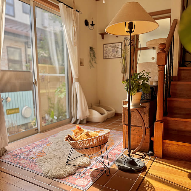 67さんの実例写真