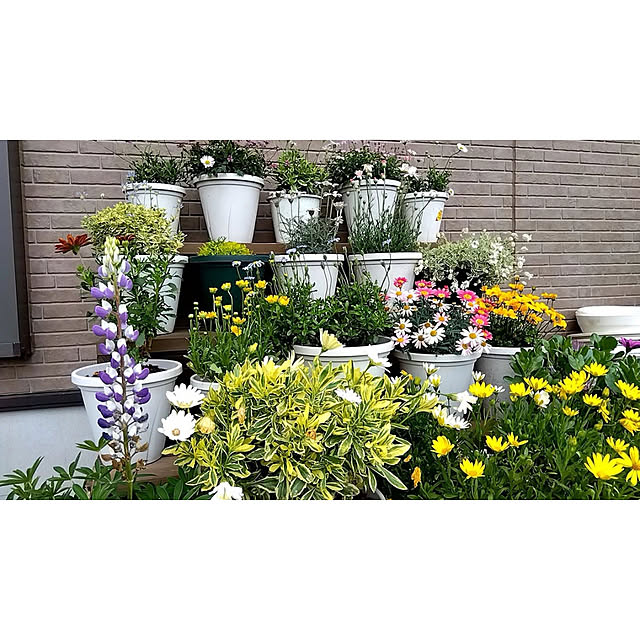 WOODPROさんの部屋