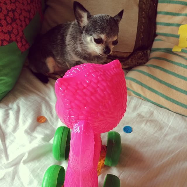 tubutanさんの実例写真