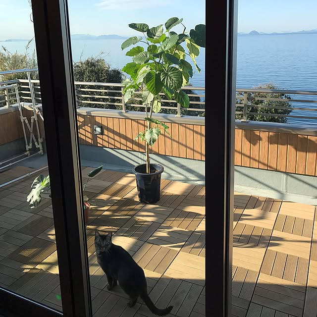 noraさんの実例写真