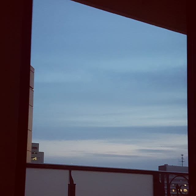 Singing_Dogさんの実例写真