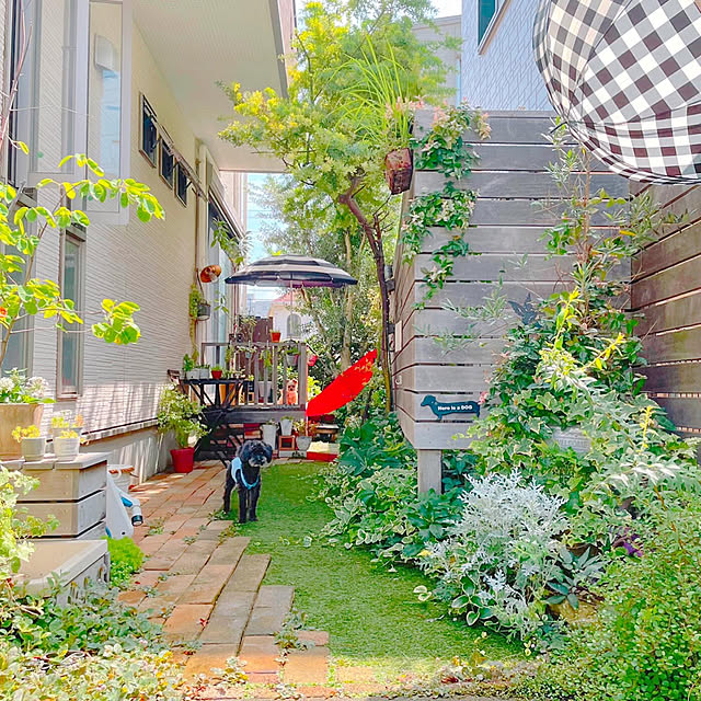 risaさんの実例写真