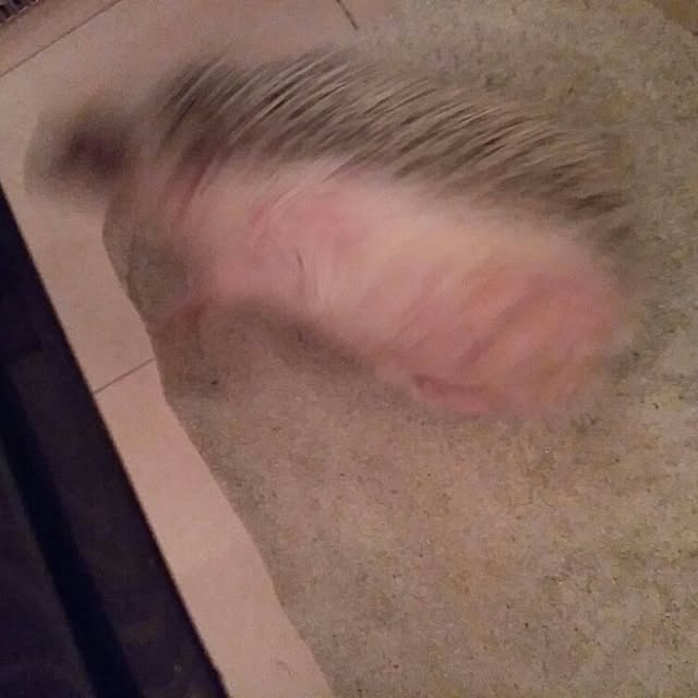 kuruさんの実例写真