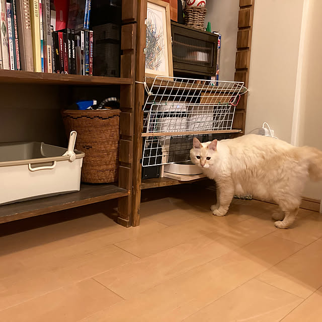shuko22さんの実例写真