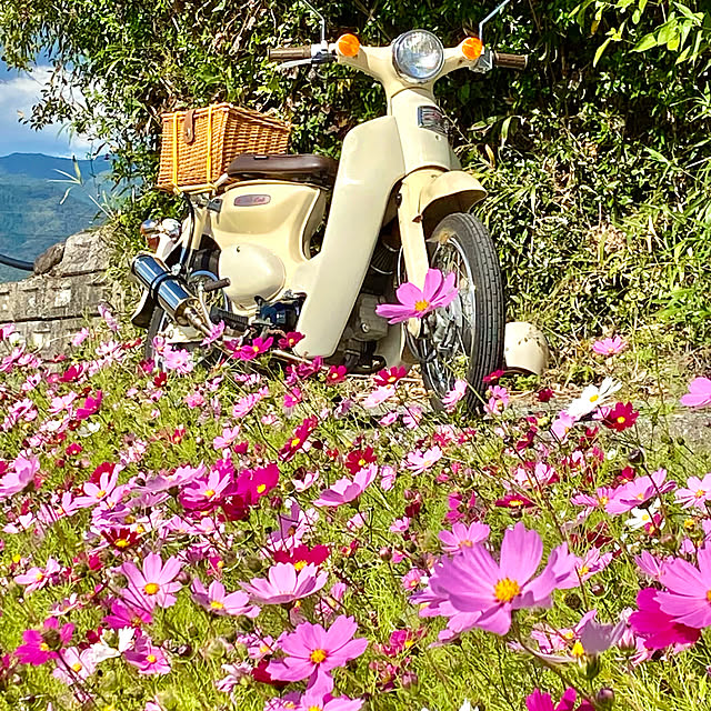 yukayさんの実例写真