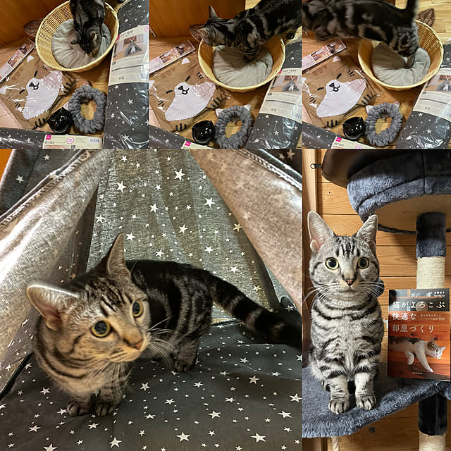 yumiさんの実例写真