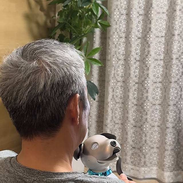 aureaさんの部屋