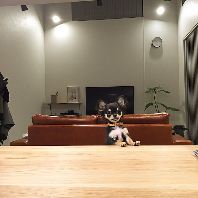 Noboさんの実例写真