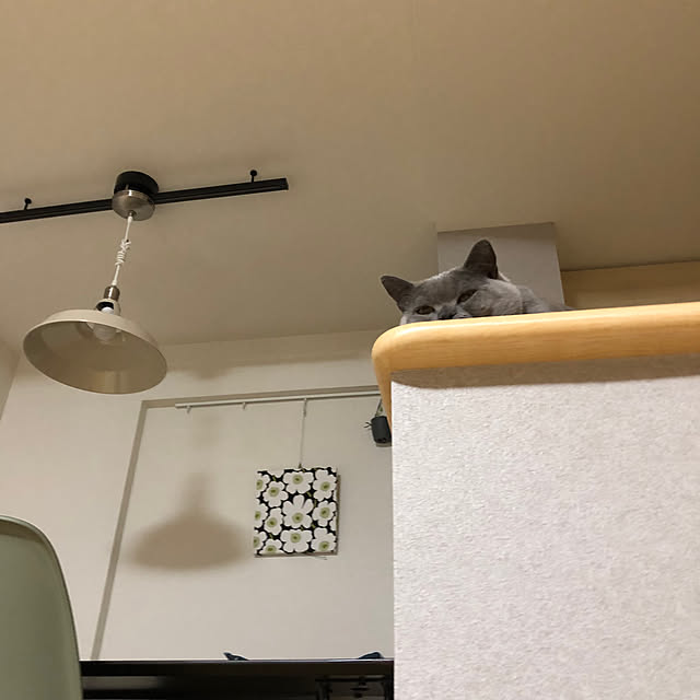 GUMIMINさんの部屋